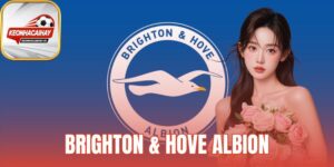 Brighton & Hove Albion