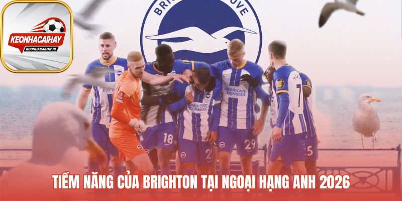 Tiềm năng Brighton dựa trên mô hình bền vững và thách thức hiện tại