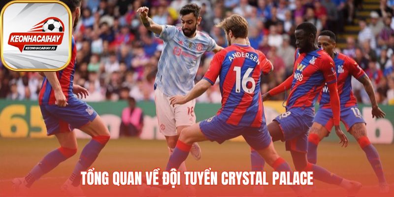 Tổng quan Crystal Palace phản ánh tinh thần chiến đấu bền bỉ