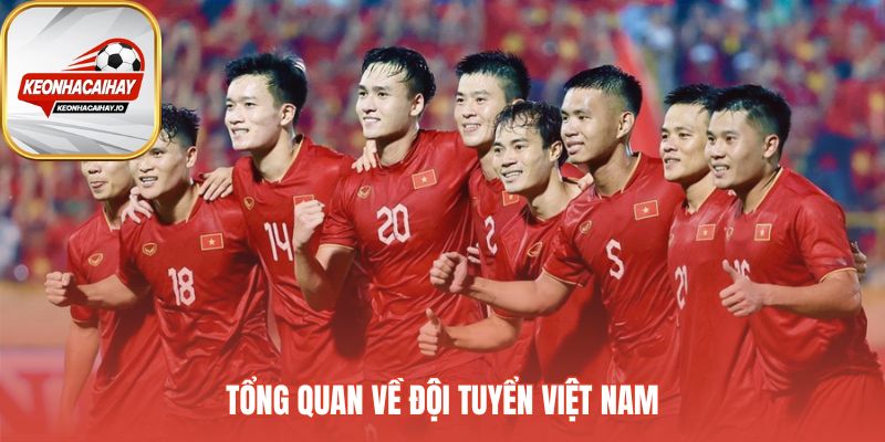 Tổng quan đội tuyển Việt Nam phản ánh sự tiến bộ trên BXH FIFA