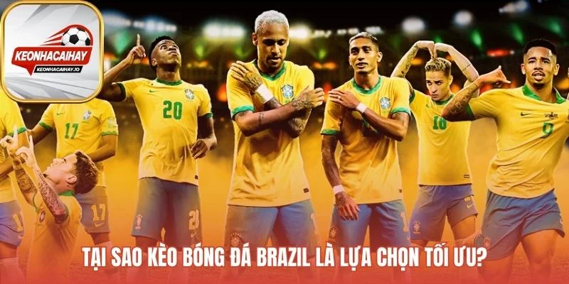Kèo bóng đá Brazil một trung tâm dữ liệu cược hiệu quả